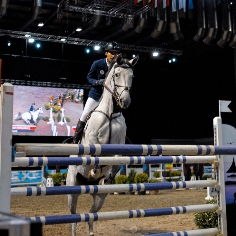 Tallinn Horse Show 2019 Saku Suurhallis, tehniline partner Ledzep Group