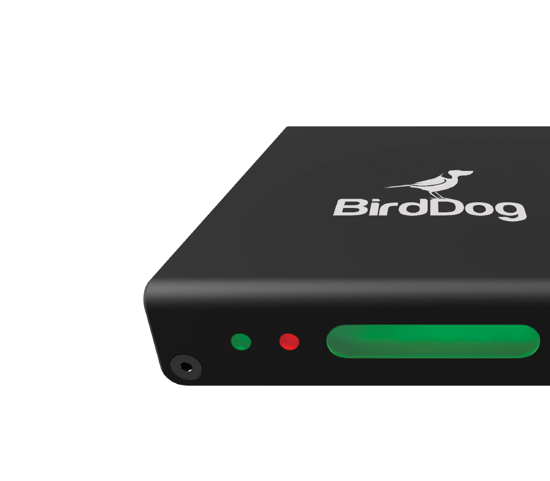 Birddog - Sisuhaldus - Ledzep Group
